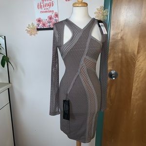 BCBG Sexy Nude Mesh Midi Dress
